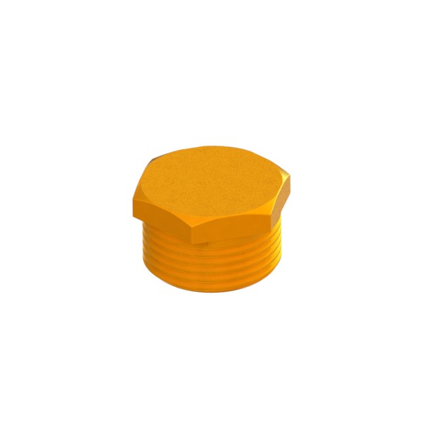Tappo maschio in ottone filettato EN ISO 228-1